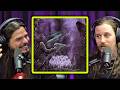 What S The Deal With Infant Annihilator Dickie Allen Of NEKROGOBLIKON