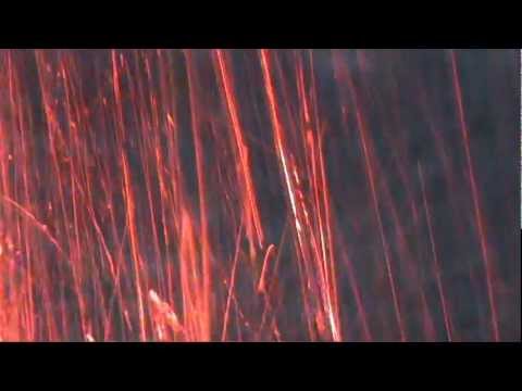 W Tobie Panie nadzieję mam - Cyprian Bazylik