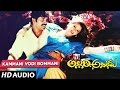 Kammani Vodi Bommani Full Song |Allari Alludu Songs |Nagarjuna,Nagma,Meena,Vanisri |Telugu Songs