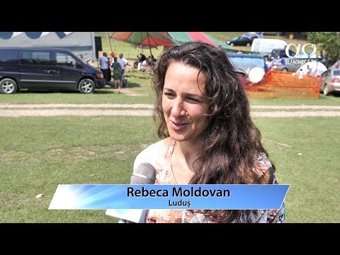 Rebeca Moldovan, Ludus - Despre Alfa Omega TV