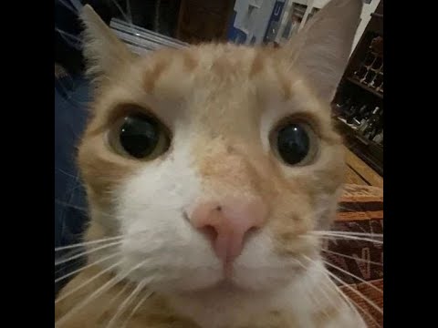 AUTOESCOLA DAS LOUCAS