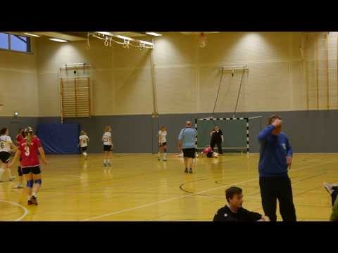Handballspiel - TSV Stellingen gegen Bramstedtler MTV  -  08.12.13