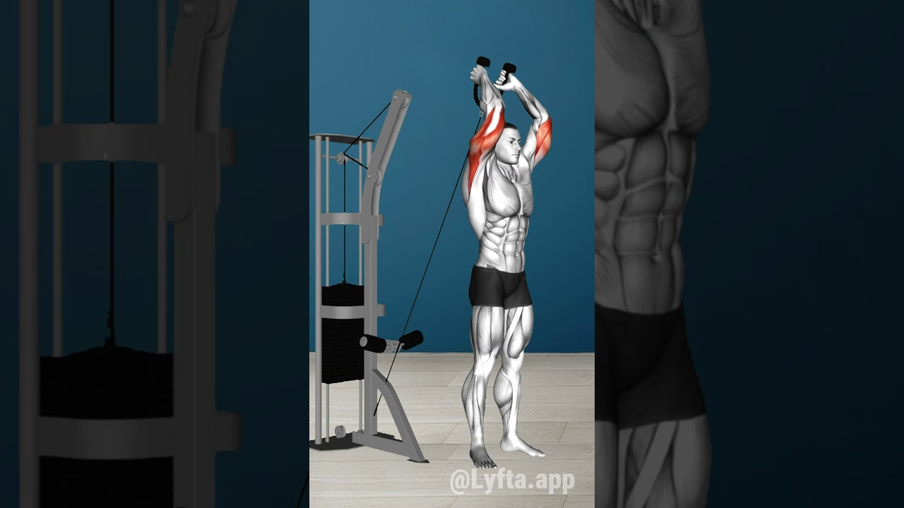 Better than Hevy, Strong, Fitbod or Ladder? 👀 Try the Lyfta Workout App.