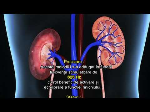 CoRus - Rinichi + 625 Hz / Kidney + 625 Hz ... Muzică și Terapie / Music and Therapy