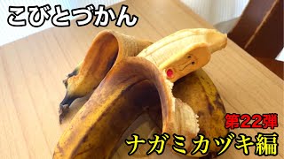 【こびとづかん】ナガミカヅキ編
