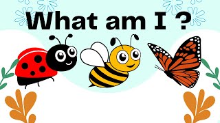 What Am I Quiz for Kids| Easy Insects English Quiz