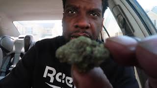 Italian Ice Strain Review