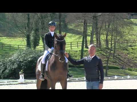 Dynamic Dream - Equusstallions