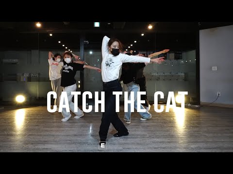 Cherry Laine -Catch The Cat Choreography SOPIA