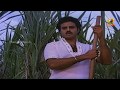 President Gari Abbayi Telugu Movie Songs Chekkam Chekkam Video Song Balakrishna Suhasini