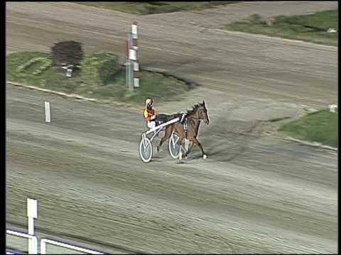 Trotto 28/10/2016 - 2ª prova di qualifica