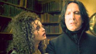 Severus Snapes einsames Leben