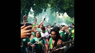 Download lagu Story wa BOB Marley-is this love mp3 Download lagu Story wa BOB Marley-is this love mp3