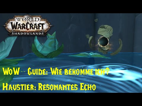 WoW-Guide: Wie bekomme ich das Haustier Resonantes Echo? - Bauplan: Resonantes Echo