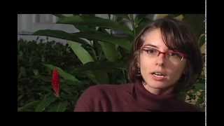 Logosofia - O que é Logosofia?