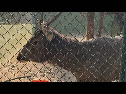 Zoo visit with kids 🧒…. Dry picnic. 