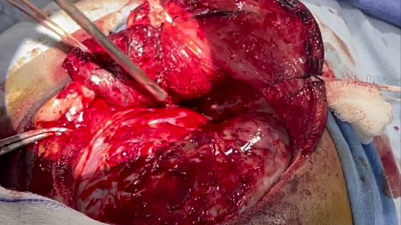 Omar Adrían García González-2