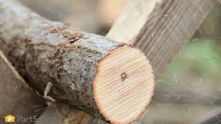 How to Diagnose a Chainsaw That's Smoking