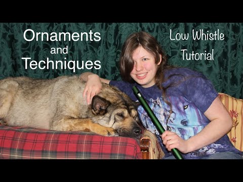 Tripendicular Ornaments & Techniques for the Low Whistle