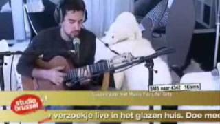 Gabriël Rios - I'm Gonna Die Tonight (MUSIC FOR LIFE)