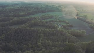 Bakermat - Live @ Hof van Twente x The Golden Years (music from 2012-2014) 2020