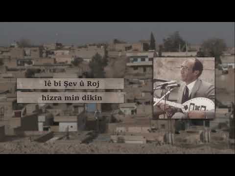 Mihemed Şêxo - Dil perîşan im ( Gotin / Lyrics)