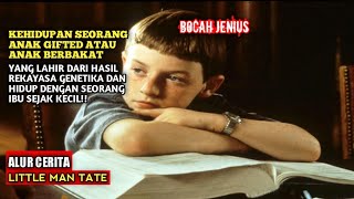 Download lagu ALUR CERITA FILM || LITTLE MAN TATE || REVIEW FILM EPIC MOVIE !! mp3