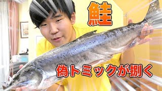 トミックさんにそっくりな高校生が鮭を捌いたらまさかの結果に・・・！！