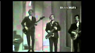 The Knickerbockers 03