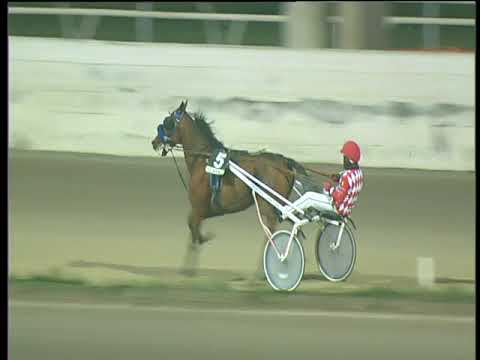 Trotto 05/01/2018 - 5ª corsa