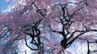 Tenth Avenue North - Lift Us Up To Fall