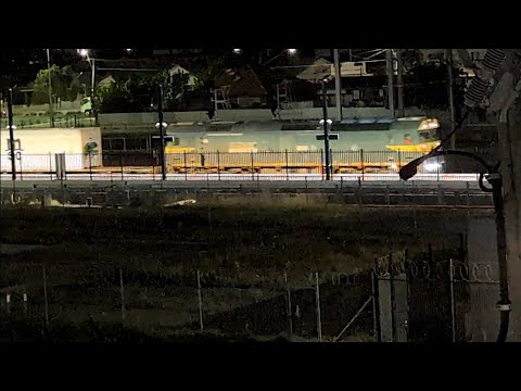 Pacific National G543 9804 train Sunshine