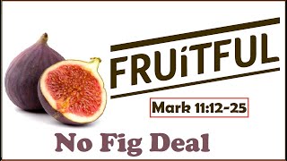 No Fig Deal