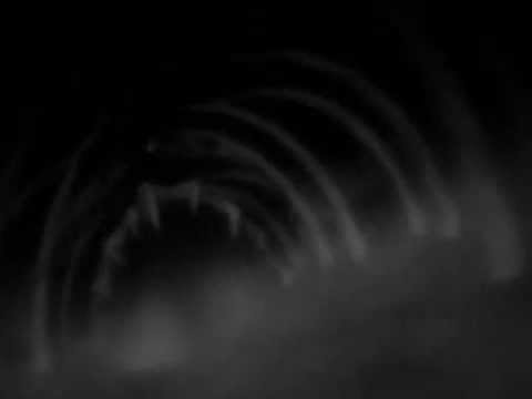 Death Note Dub Napoletano [Episodio 01]