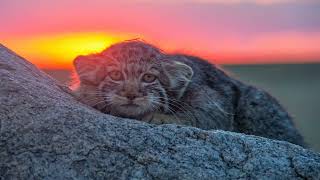 LeAnn Rimes   The Right Kind of Wrong DJ Alex Storm Remix Radio edit