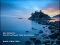 Sea Dreams: Pacific Northwest Flute Meditation
