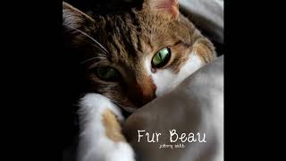 Fur Beau // Fur Beau (Music for Cat Anxiety &amp; Stress) // Johnny Salib