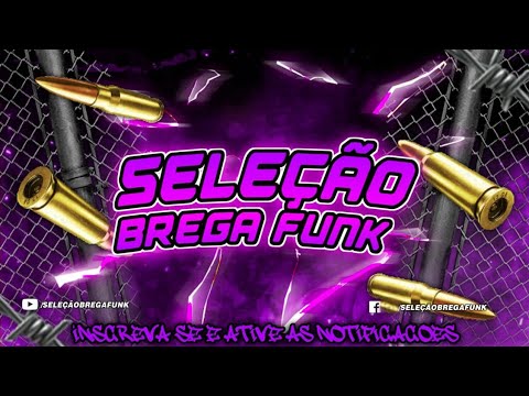 (Seleção Brega Funk) Catucadao - MC Dimenor WL