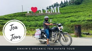 preview picture of video 'Temi Tea in Sikkim | Organic Tea Tour | World's Best Tea | How Tea is Processed | Day 6 - Part 2'