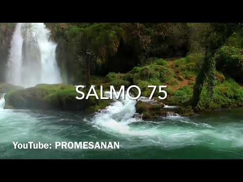 Salmo 75 - Audio - Beibel na Papiamentu
