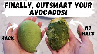Avocados Last Twice As Long With This Hack! | How To Store an Avocado + Demonstration!