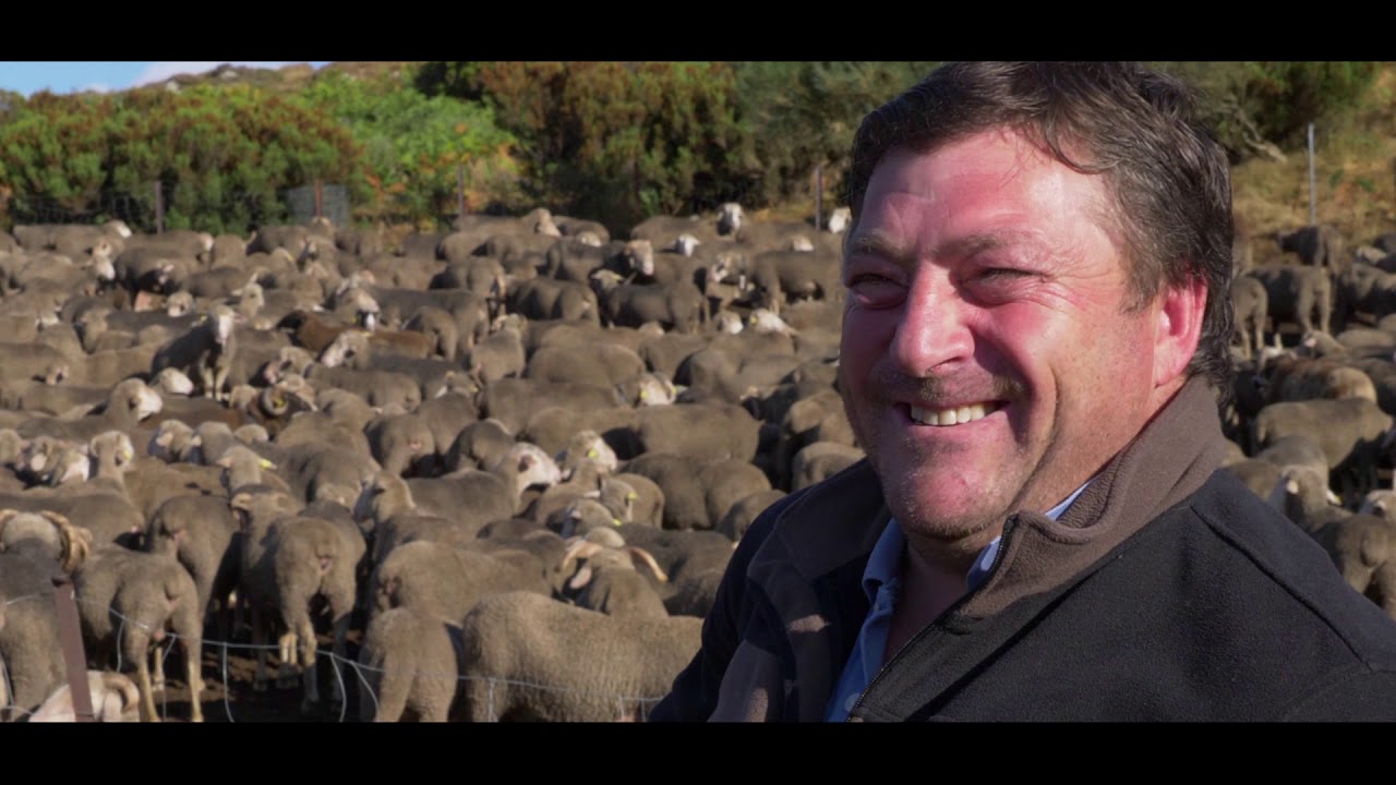 Watch VALLE DE LOBOS (documental completo) Now VALLE DE LOBOS (documental completo)