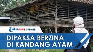 Bocah SMP Dipaksa Berzina di Kandang Ayam hingga Hamil 7 Bulan, Pelaku Saudara Sendiri Usia 50 Tahun