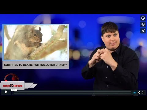 Squirrel to blame for rollover crash? (ASL - 9.4.18)