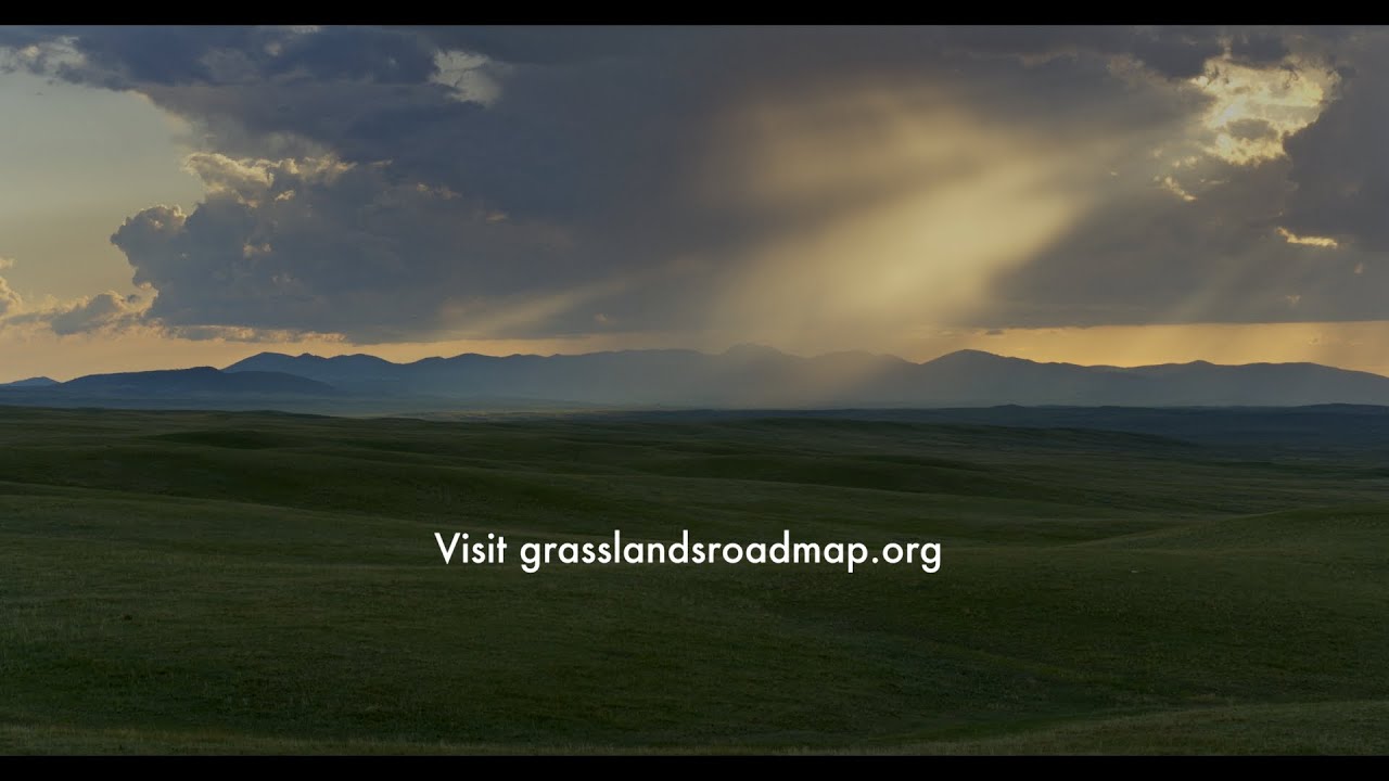 The Central Grasslands – Backbone of North America