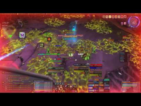 Ewiges Bollwerk vs Nythendra Mythisch (Hunter POV) (Die Aldor)