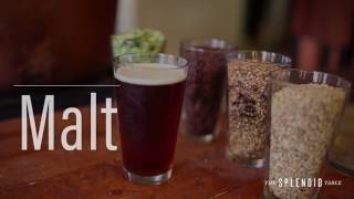 Seven Beer Categories and How to Pair Them
