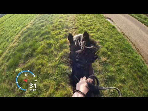 How fast?!? Speedy Toby!!