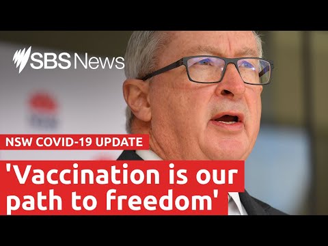 Watch Live: NSW COVID-19 update | SBS News
