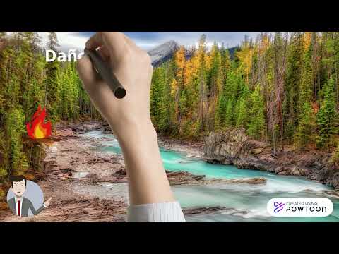 cuidado del medioambiente